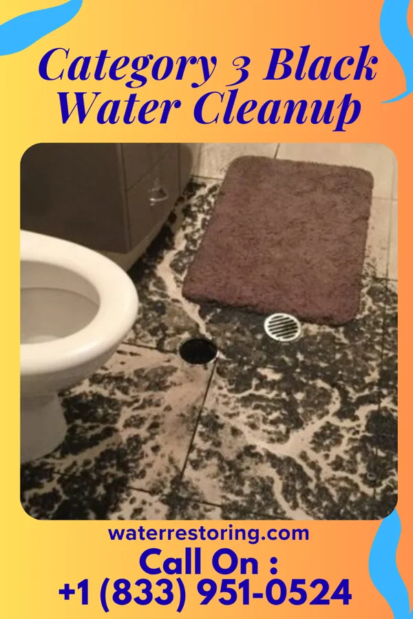 Category 3 Black Water Cleanup in Fulton, OH