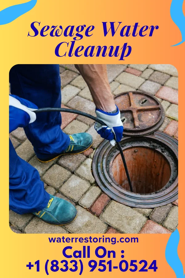 Sewage Water Cleanup in Fulton, OH