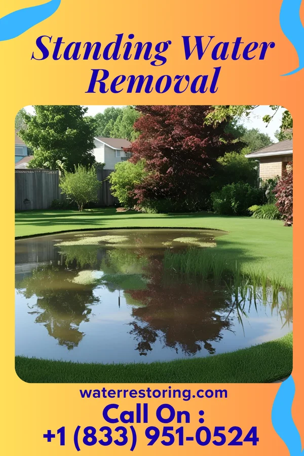 Standing Water Removal in Fulton, OH
